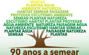 Mais de 7000 árvores serão plantadas.