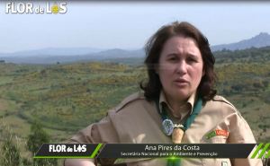 Ana Pires da Costa, Secretária Nacional para o Ambiente e Prevenção.