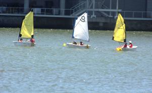 Regata em Optimist.