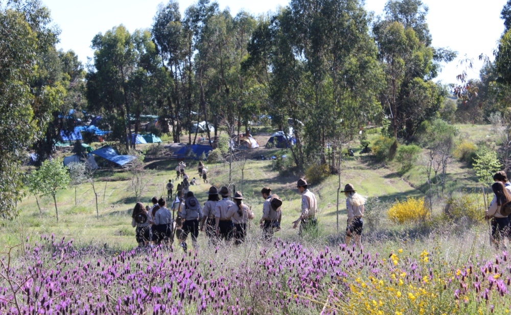 O Tecoree já começou!