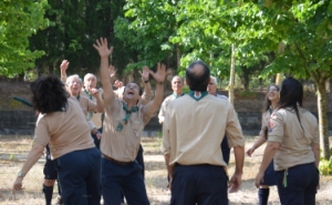 Dirigentes do CNE em atividade.