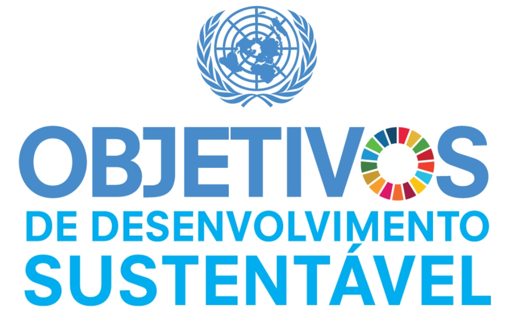 Existem diversas estratégias para desenvolver os 17 Objetivos para o Desenvolvimento Sustentável.