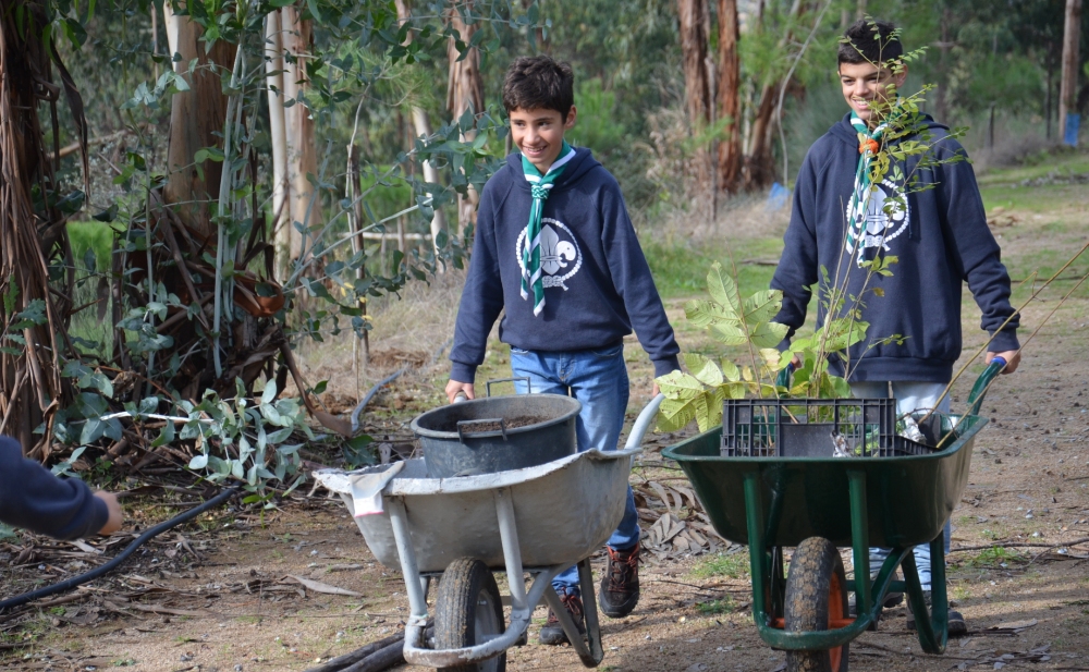 Sabe como podes participar no Trees for the World.