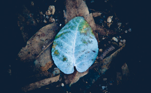 Participa no Prémio Nacional de Fotografia Escutista 2012.