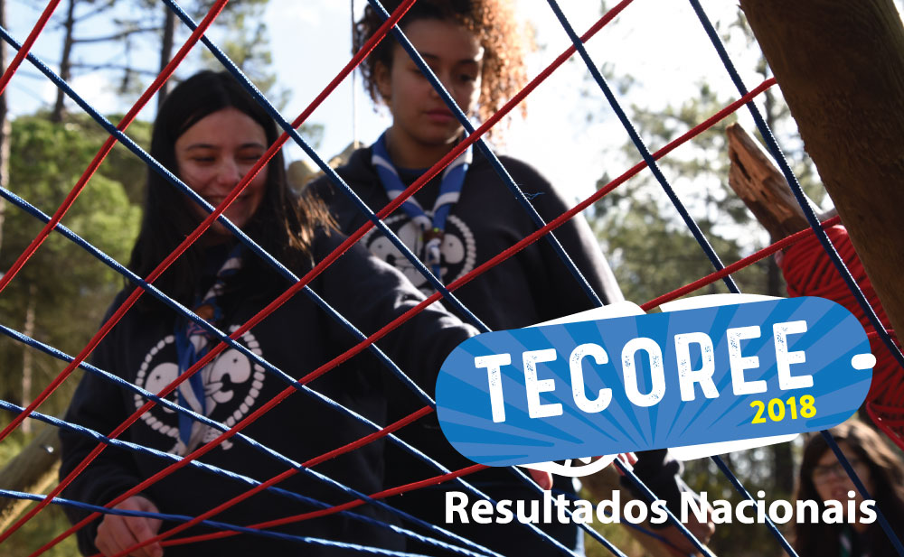 Verifica em que lugar ficaste na classificação nacional.